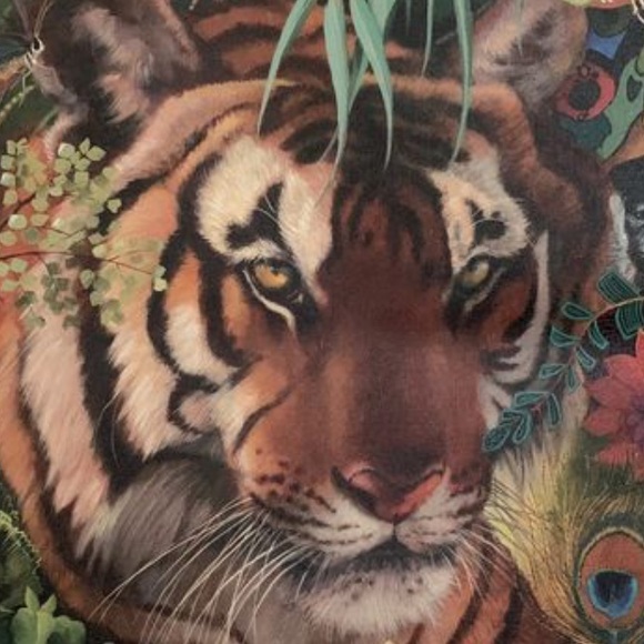yazznolaart